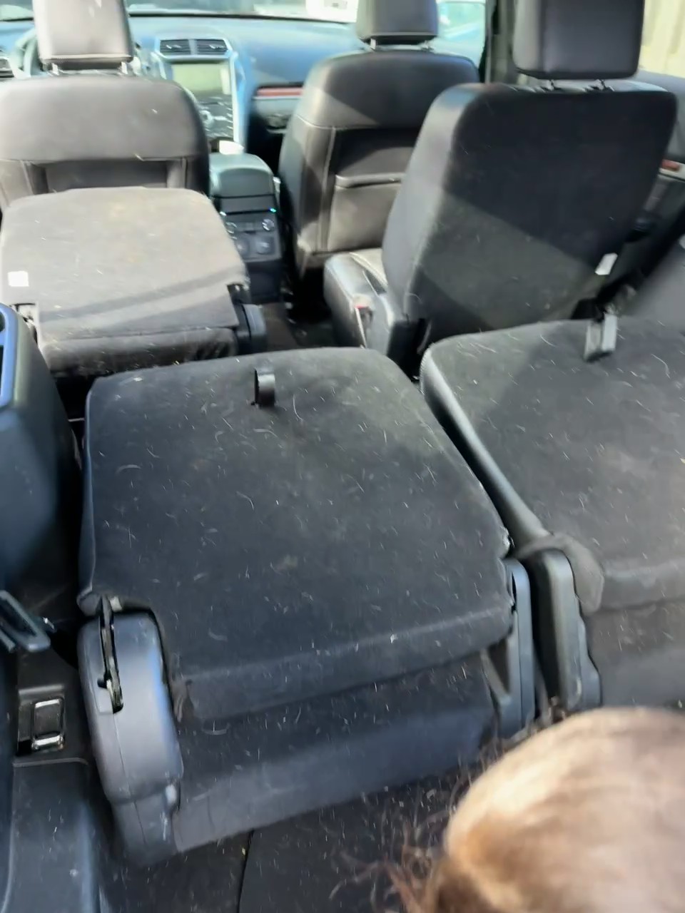 Family Minivan before detailing